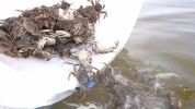因地制宜兴产业 深耕乡土谋振兴