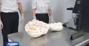 鞋藏毒、伪报品名 多个口岸查获禁限进出境物品
