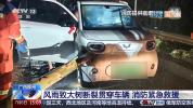 行驶车辆撞上断裂树木被贯穿 台风夜惊魂救援