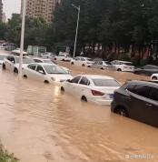 沈阳暴雨院子变鱼塘市民隔窗看鱼 城市应急响应全力应对