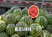 四川人的松弛感拉满！西瓜摊主中暑回家摆二维码自助卖瓜