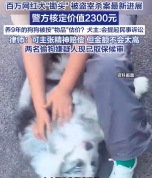 百万网红犬锄头被盗宰杀案按物品估价 犬主回应