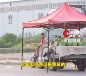 男孩帮聋哑人舅舅卖了三四万斤瓜：好不容易熟了，烂地里很可惜