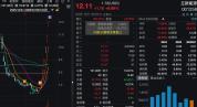 立新能源的股价狂欢与基本面 概念与现实的错位