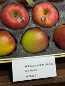 上海一店只卖苹果 有一款单颗399元 高价苹果引热议