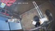 男孩母亲动手打女孩后双方扭打，期间还让男孩帮忙，警方介入调查 电梯内冲突引关注