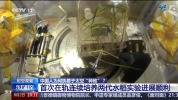 中国人为何执着于太空“种地” 探索深空的生存保障