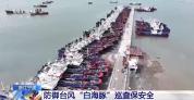 浙江部署防御台风“白海豚” 提前准备迎战风雨