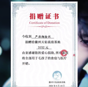 严浩翔粉丝捐赠物资救助流浪动物 盐汽水与严浩翔一起关爱流浪动物
