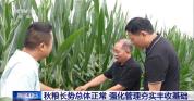 全国秋粮长势总体正常 强化管理夯实丰收基础