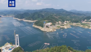 东北地区跨度最大悬索桥“黄金大外环”主塔封顶
