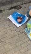 女子在公厕生下女婴后独自离开 事件引发广泛关注