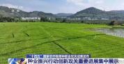 90项种业振兴行动创新攻关重要进展集中展示