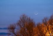 今年最后一次“长庚伴月” 星月童话再现夜空