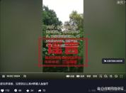 绵阳一养猪场单日死亡500头猪不实 网传信息引发关注