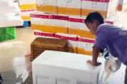 男孩熟练打包牡蛎：一箱仅二十多秒 假期技能小能手