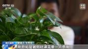 新型涉网贷骗局两月骗了上千人 AI引流设圈套