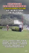 大连一公园内梅花鹿冲撞游客 发情期雄鹿攻击性增强