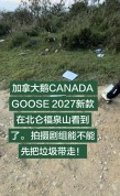 加拿大鹅回应在宁波北仑福泉山拍摄广告遗留很多垃圾