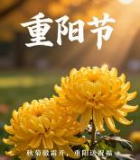 九月初九愿岁月久久 福寿安康长相伴