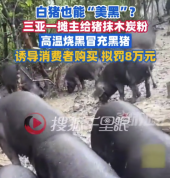 猪也能“美黑”？摊主将白猪抹木炭粉烧黑冒充黑猪卖，拟罚8万元