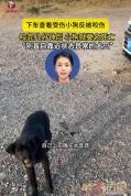 女子被流浪狗咬伤后不久狗死了 提醒勿盲目接近受伤动物