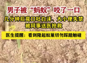 男子被红火蚁咬伤后，口吐白沫，大小便失禁，失去意识