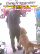 人生第一次需要向狗狗自证清白：我给钱了