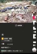 警方通报:为博眼球编造"猪瘟"谣言，乐山市沐川县一男子被处罚!:流量狂欢的代价