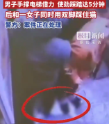 母子电梯虐猫小区业主发声：小猫由小区居民轮流喂养