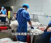 河南肉泥生产车间污水横流无人监管 生产厂配料随意标