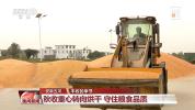 各地秋收秋种有序推进 多措并举确保颗粒归仓