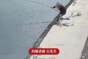 鱼场老板回应钓鱼佬被大青鱼拉下水 人鱼激战终获58斤巨物