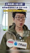 狗狗上幼儿园一天6门课 专属课程提升行为能力