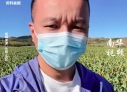 反诈博主遇害引关注，上官正义称遭悬赏，多名网友提醒注意安全