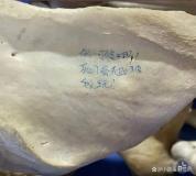 对大体老师的冒犯不能止于舆论谴责 校方沉默是第二重伤害