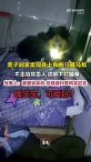 男子回家发现床上有两只藏马熊 温和访客惊现家中