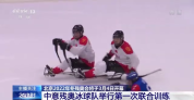 中意残奥冰球队举行第一次联合训练 氛围良好
