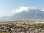 山南市水生态文明建设成效显著