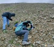 迪庆州有序推进林草种质资源普查