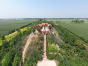 魏晋顶级豪门荀彧家族：兴于乱世，死于政治