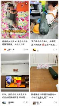 冬瓜成了“夏日伴睡神器”?专家:吃比抱着更解暑