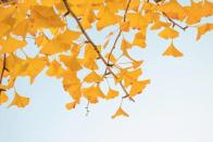 恕我直言，老师最浪费课堂时间的四个表现