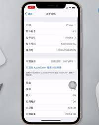 如何查看iphone激活时间