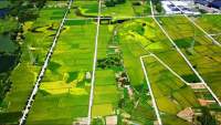 논밭의 채색 봉황, 퉁루의 문화관광산업 발전에 일조