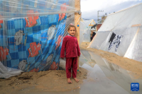 가자지구 라파 임시캠프 탐방