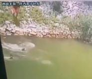 重庆男子救下落水5人后体力不支遇难  同伴沉痛讲述经过