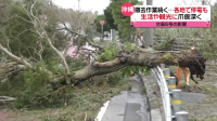 台风卡努袭击日本冲绳 已致冲绳县2人死亡，64人受伤