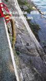 官方回应市政车向甘棠湖排污：是冲洗雨水管网内淤泥