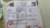 北京儿童医院回应称从来没有男家长陪护的 传统规定引争议